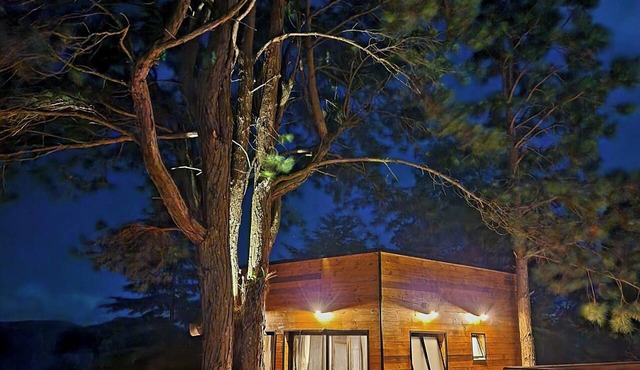 Treehouse in Campos do Jordão, a romantic retreat of good taste and tranquility. in Campos do Jordão