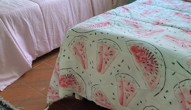 Vrbo Property in Pinhais