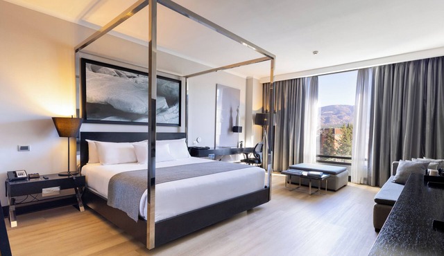 Wyndham Santiago Pettra