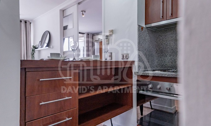 Santiago Apartment | Apartment 18th floor Providencia Metro Manuel Montt