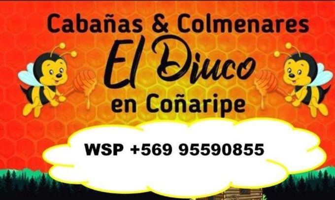 Conaripe House | Cabañas El Diuco en Coñaripe 3