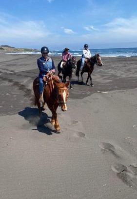 Cahuil Hostel | Del Pangal Canto- Acceso directo a la Playa y Cabalgatas
