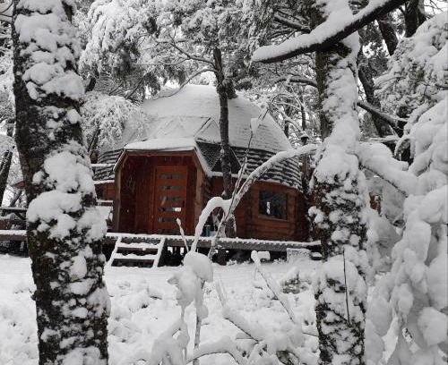 Malalcahuello Cabin | Domos Entre Bosques