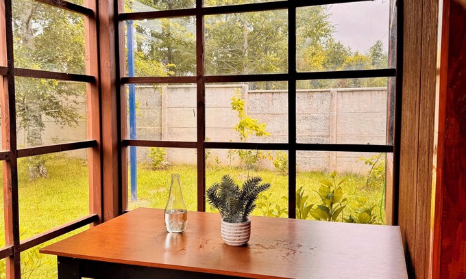Pucon Hostel | Hostal Treile