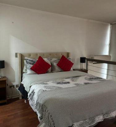 Bellas Artes Apartment | Loft Rousse Travel