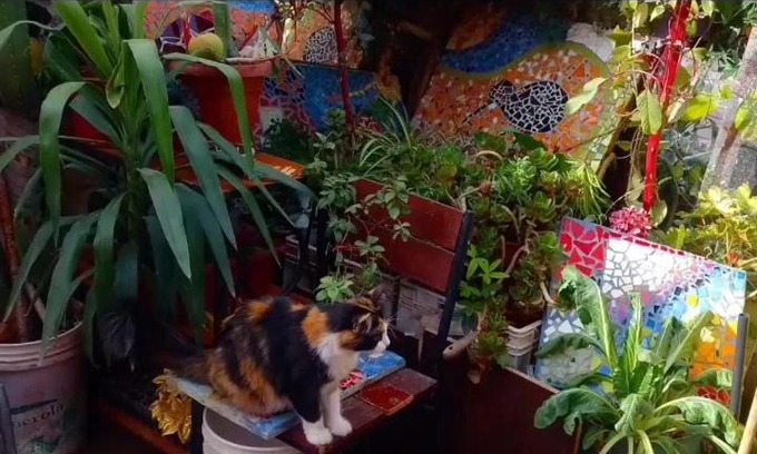 Colina House | Michi house roomies backpackers
