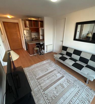 Concepcion Apartment | Mirador Parque