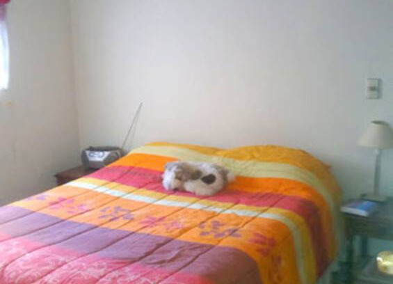 Bellas Artes Resort | Private room ∙ 2 guests