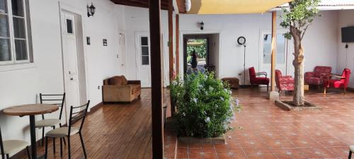 Vicuna Hostel | Scorpius Hostel