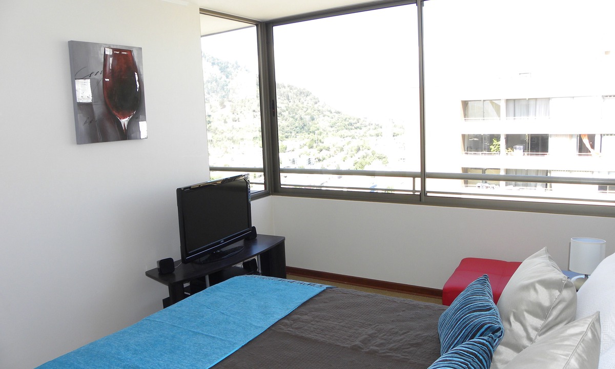 Santiago Apartment | Gorgeous View Apartment Santiago, Recoleta, Chile