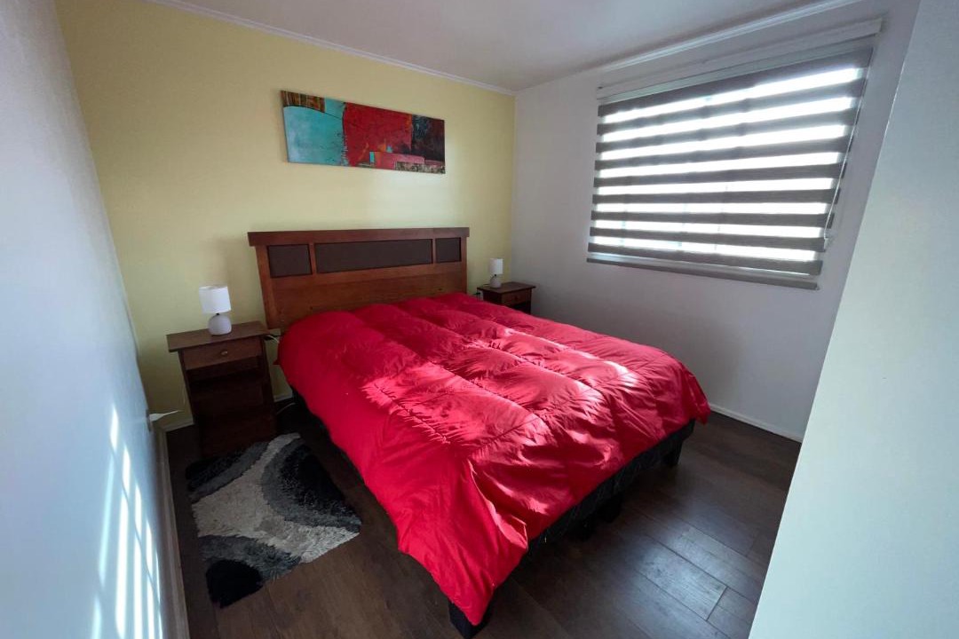 Castro House | Paz T