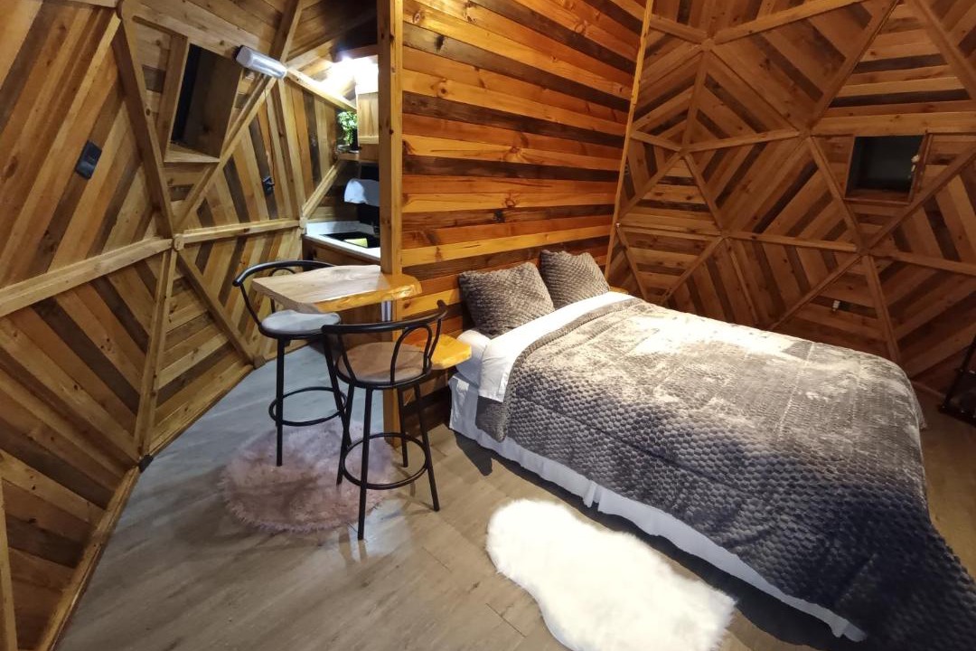Pucon Apartment | Domo Teddy Pucon