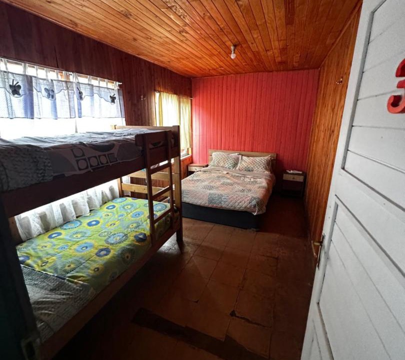 Pucon Hostel | Hostal Palguin 261