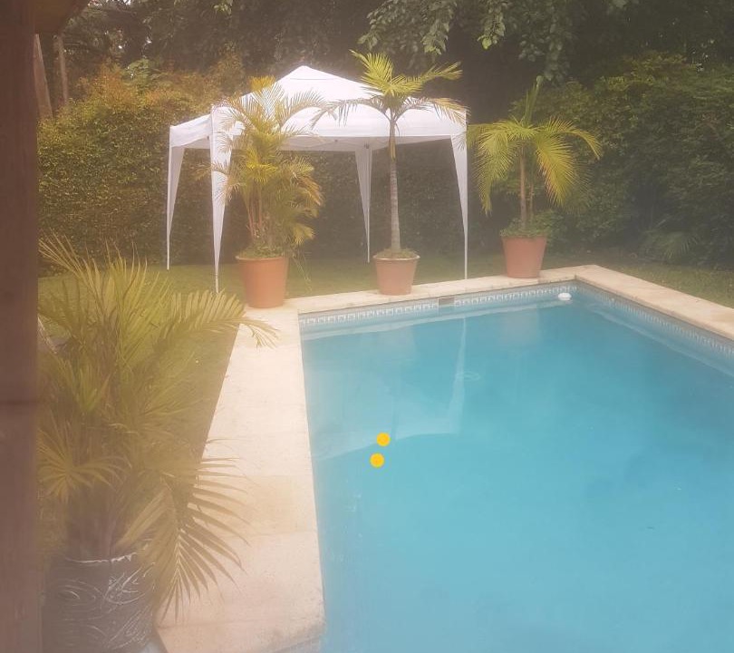 General San Martin Bed & Breakfast | El bosque suite