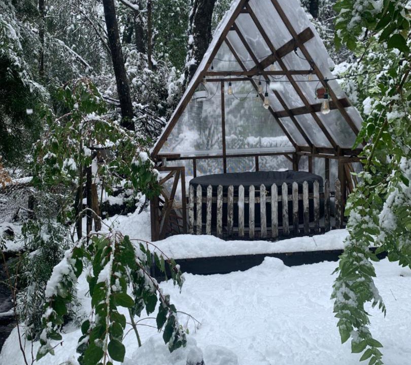 Pinto Ski Chalet | Cabaña bosque
