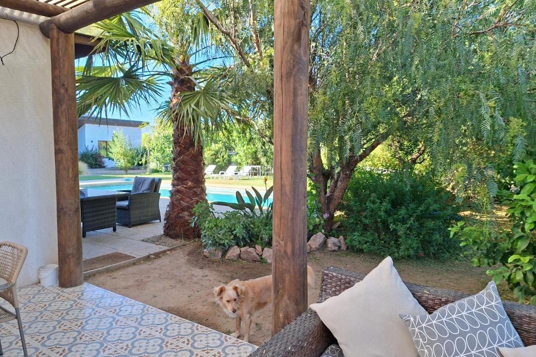 Santa Cruz Bed & Breakfast | Callihue Lodge