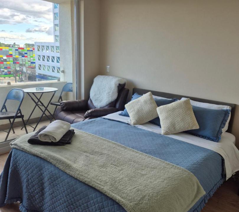Osorno Apartment | Departamento Central Osorno 2