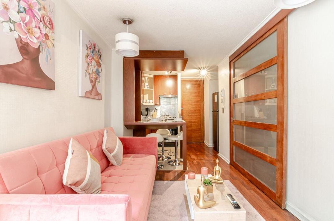 Bellas Artes Apartment | Bellas Artes Rosa