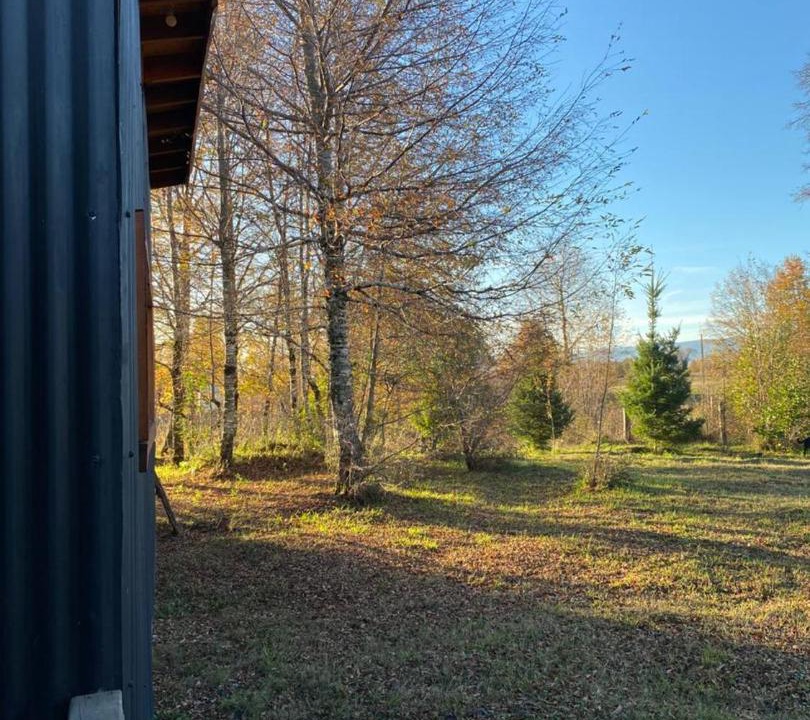 Curacautin House | Cabañas leumo