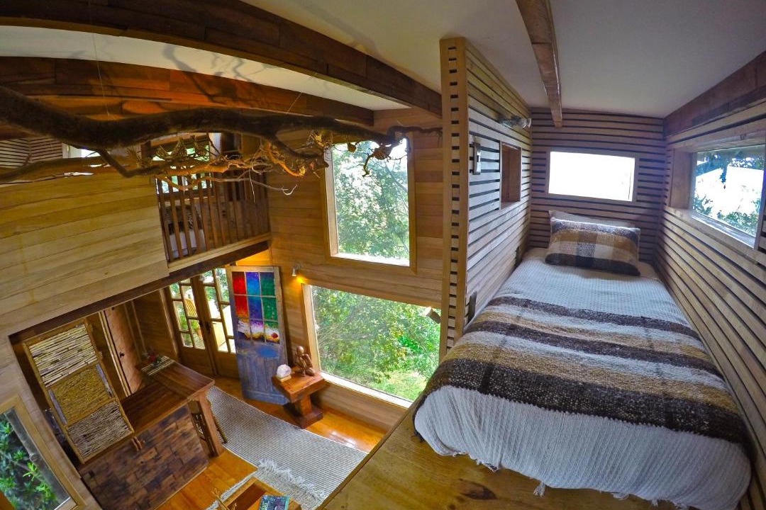 Nercon House | La Casa Del Árbol De Chiloé