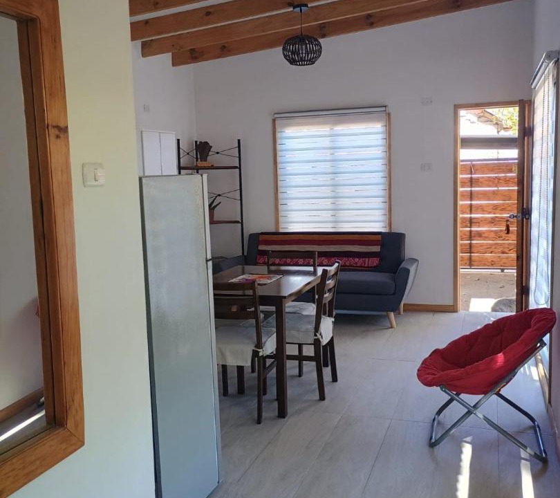 Vicuna Apartment | Cabaña Peralillo