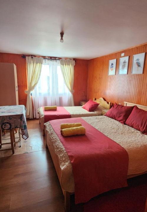 Llanquihue House | Hostal La nona