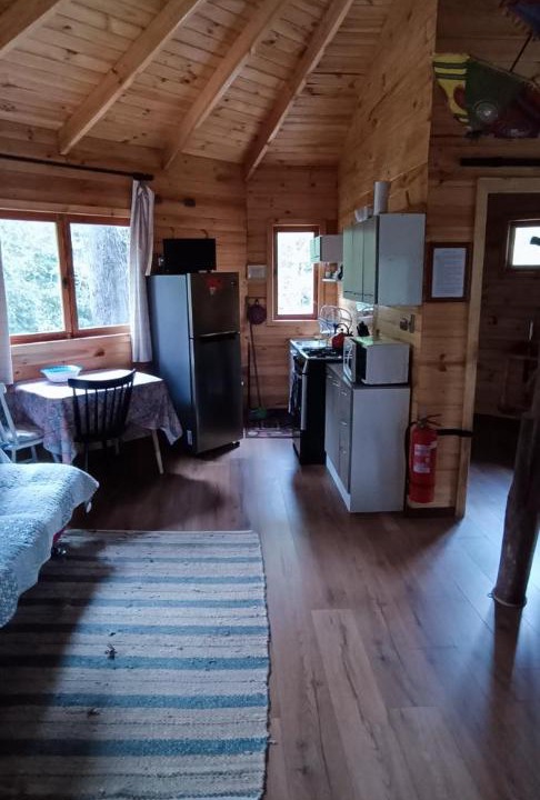 Pinto Ski Chalet | Cabañita del Árbol Cóndor