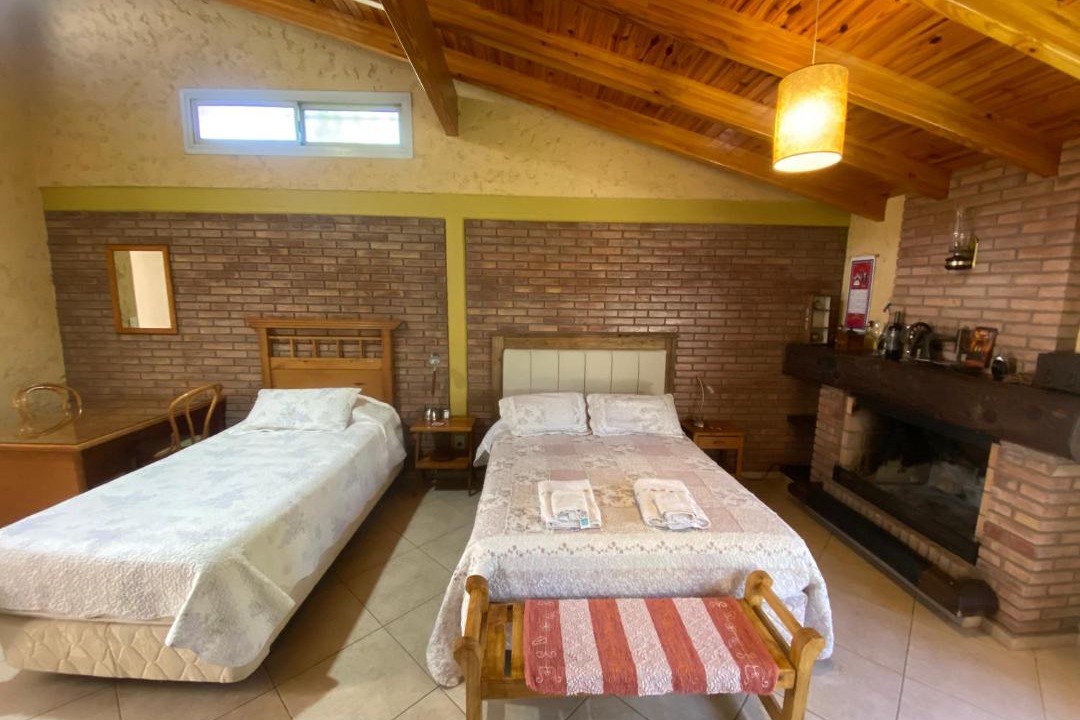 General Alvear House | Hansi