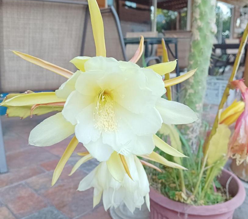 Santa Cruz House | Cordillera Inn
