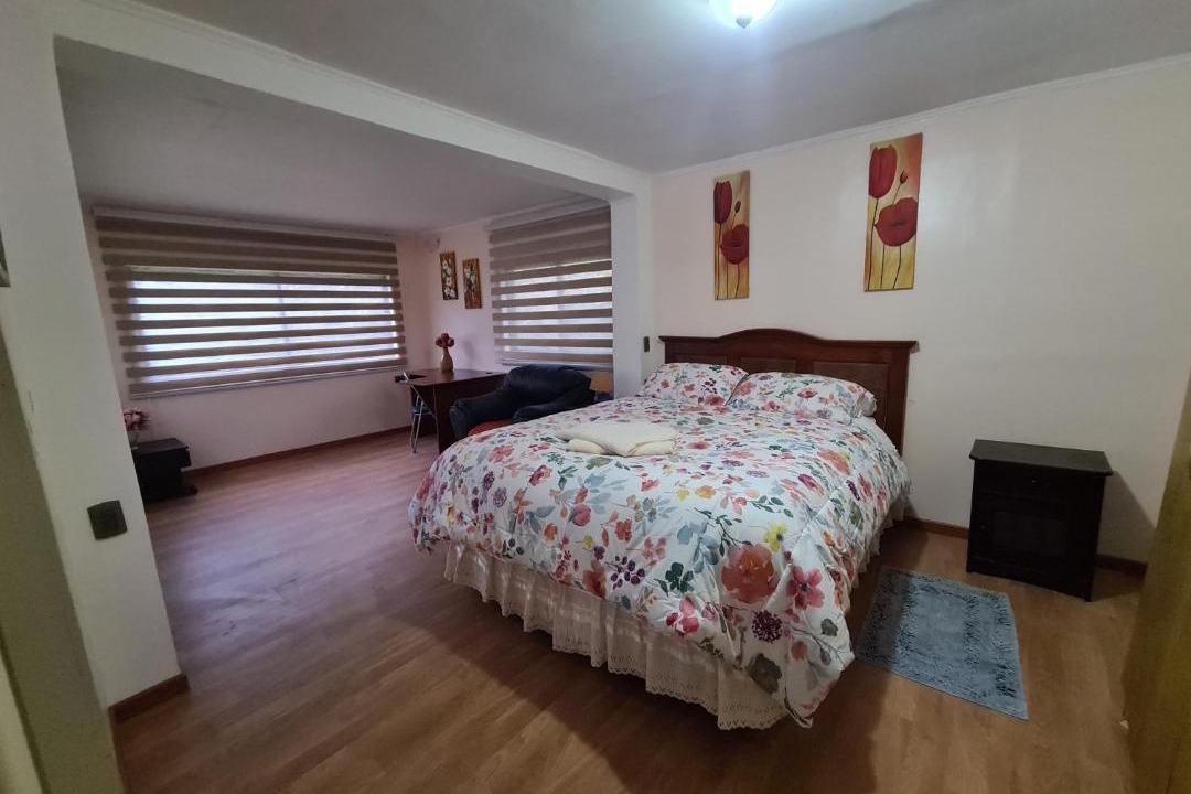 Valdivia House | Casa Selva