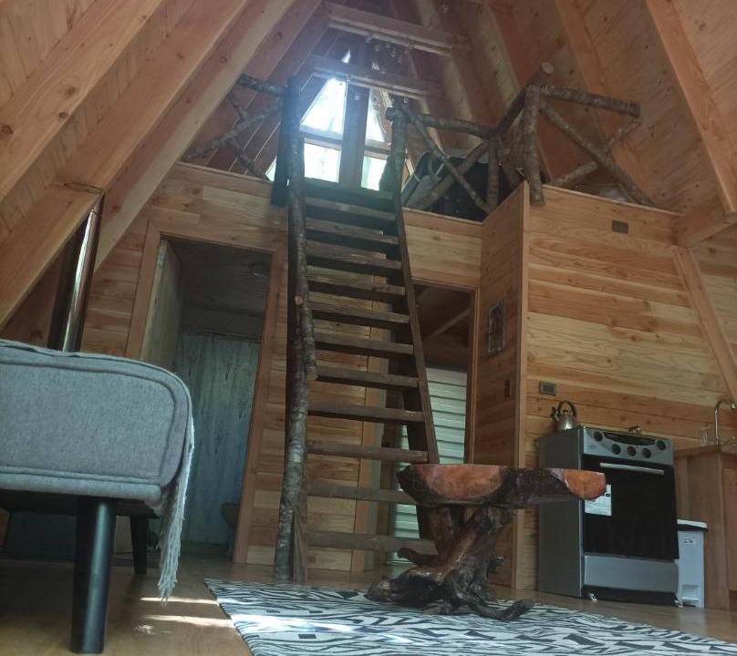 Neltume Ski Chalet | Casa Aurora