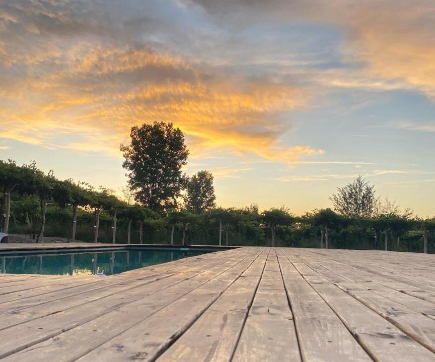 Vicuna Other | Glamping Viñas de Elqui