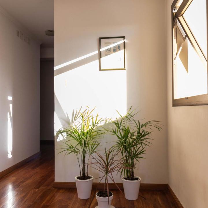 La Plata Apartment | Piso 9 Vista panorámica a la ciudad