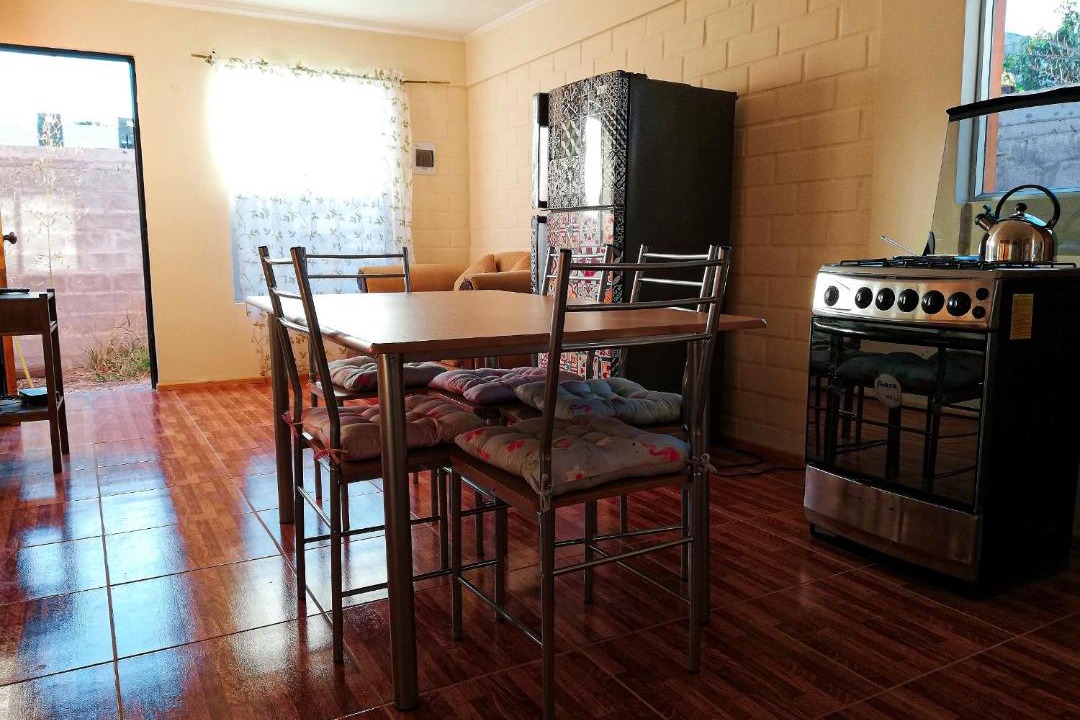 Vicuna Apartment | Cabaña Vicuña