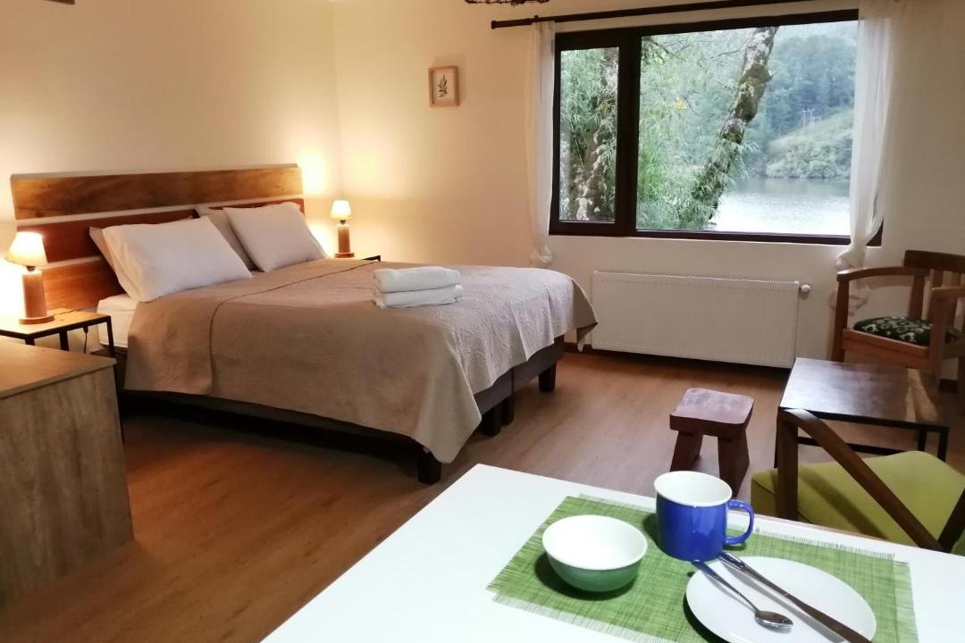 Valdivia Cabin | Casa Río Vivo