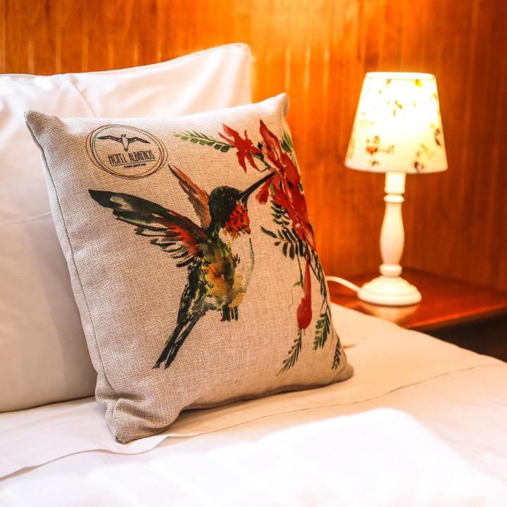 Punta Arenas Hotel | Hotel Albatros