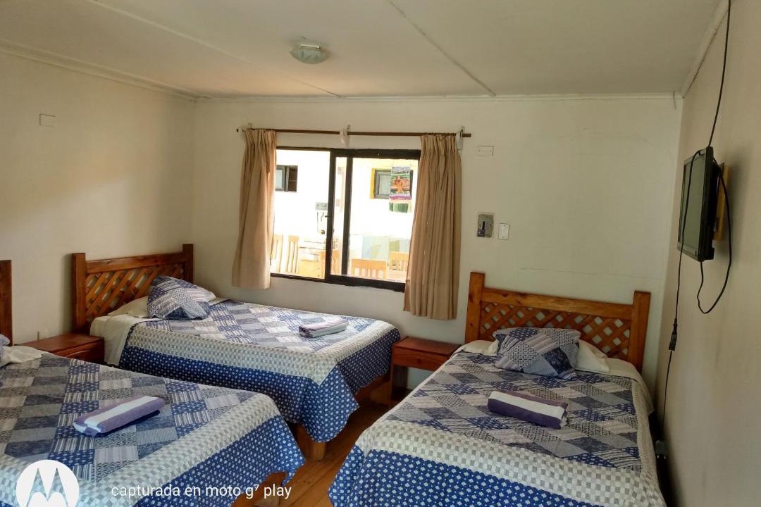 Vicuna Hostel | Hostal Michel