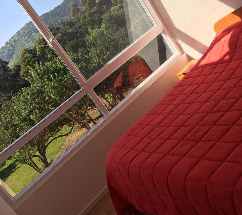 Papudo Apartment | Lomas 3 Bosque y Playa