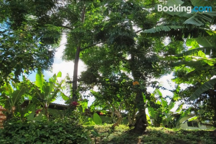 Photo of Outdoor in Hanga Roa