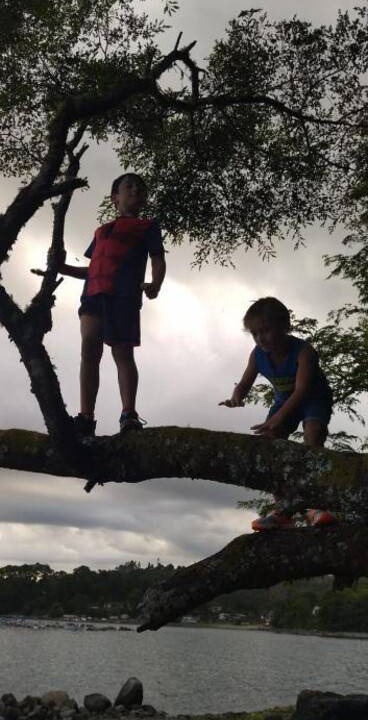 Photo of Others in Los Lagos