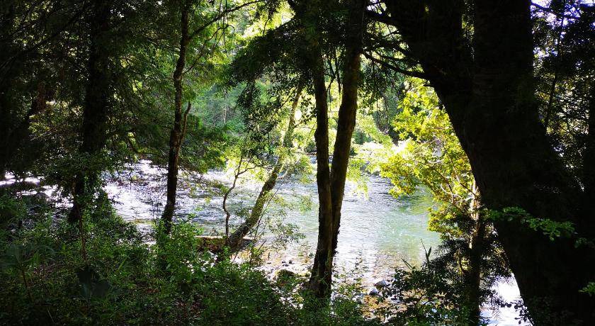 Photo of Others in Pucon
