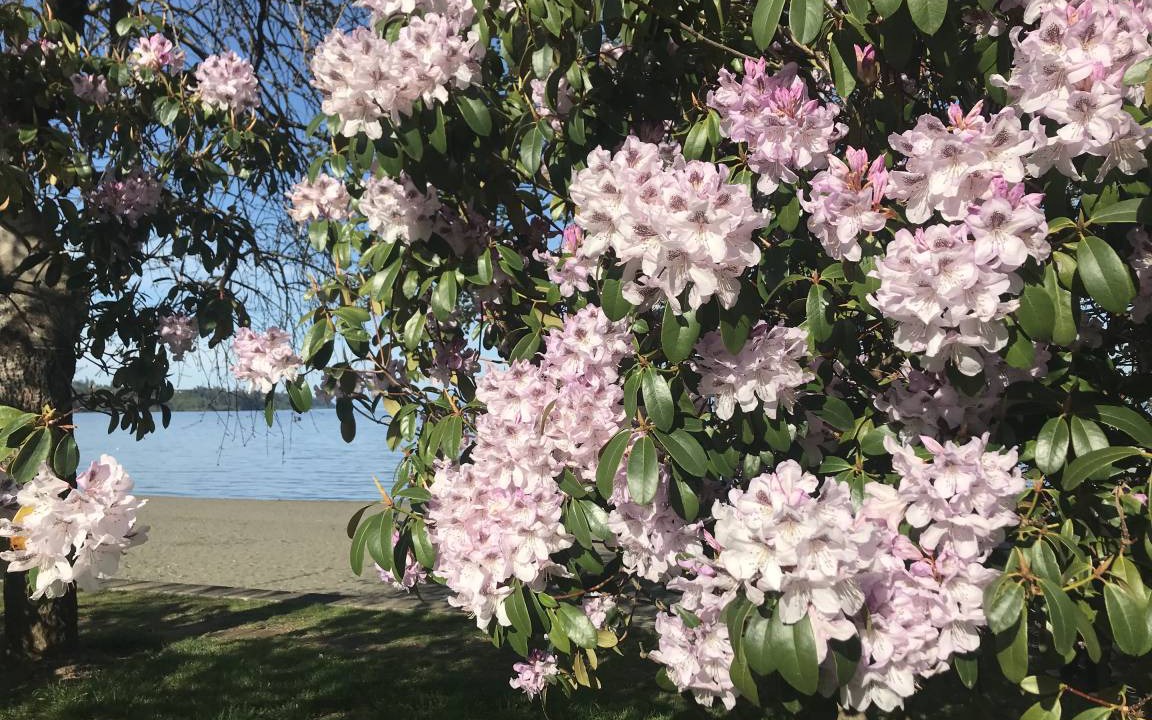 Photo of Outdoor in Frutillar