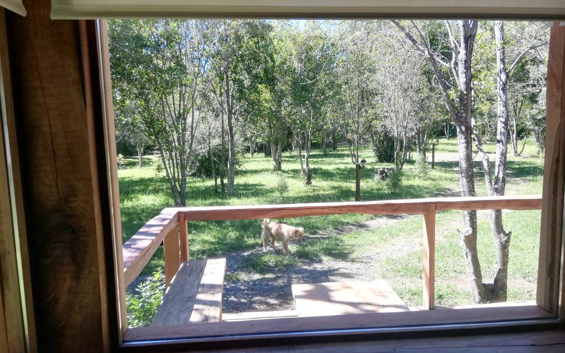 Photo of Others in Pucon