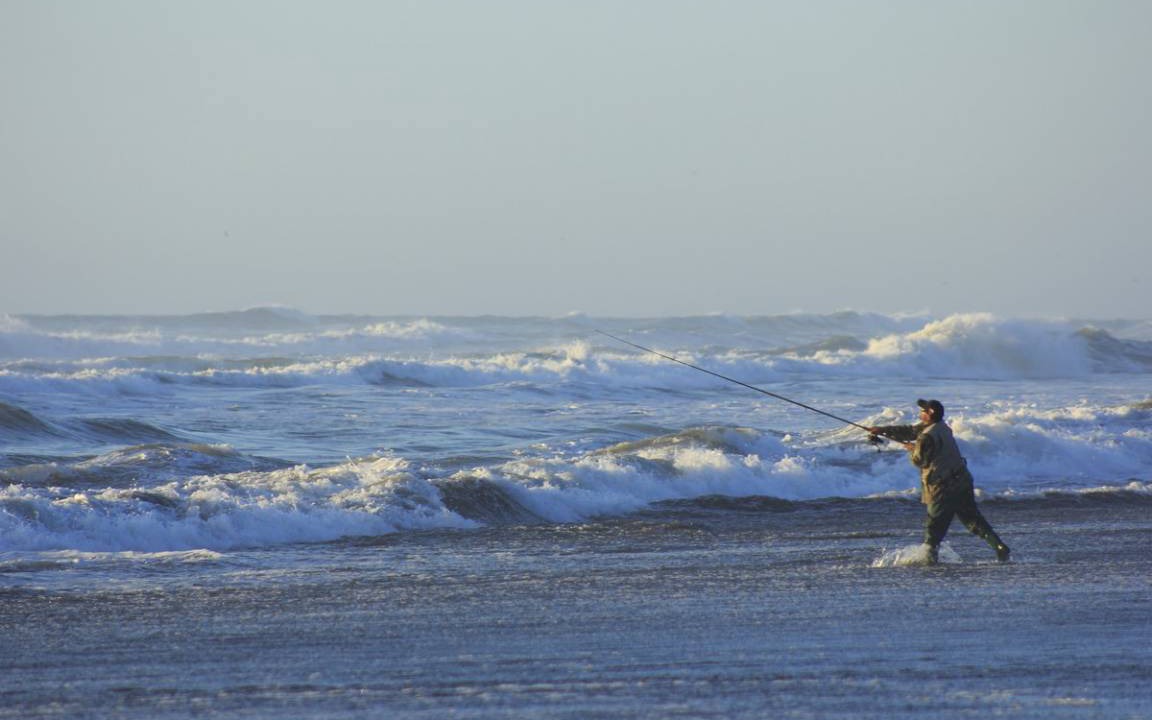 Photo of Human In Picture in Curico
