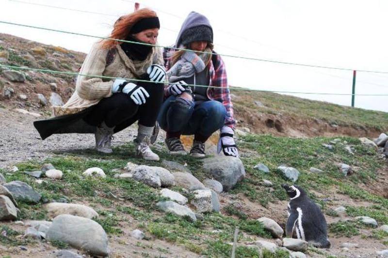 Photo of Others in Punta Arenas