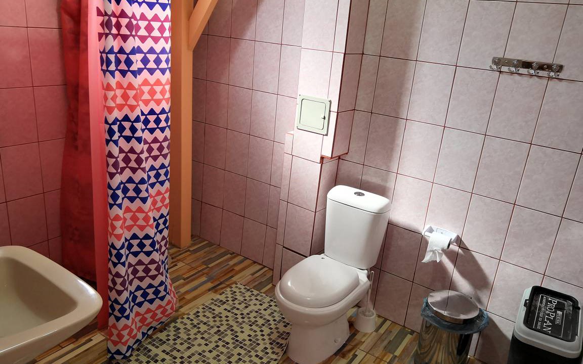 Photo of Bathroom in Downtown Santiago