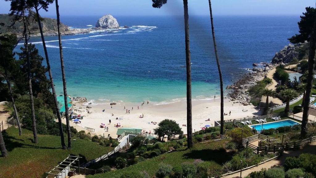 Photo of Others in Algarrobo