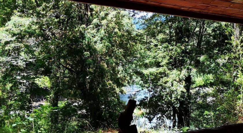 Photo of Others in Pucon