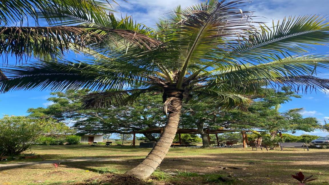 Photo of Others in Hanga Roa