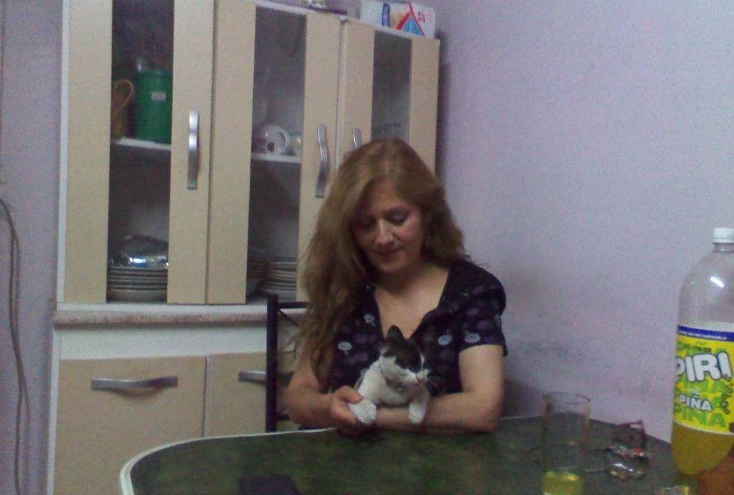 Photo of Others in Chillan
